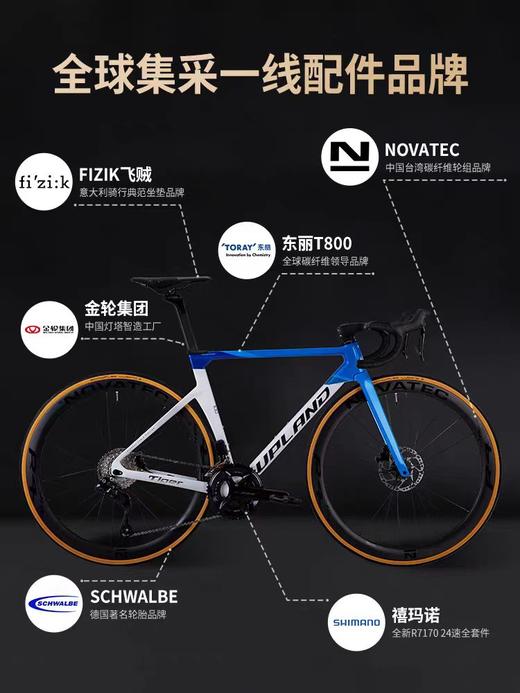 UPLAND（阿普兰）生肖虎系列105电变 公路自行车 商品图5