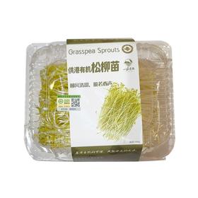 一茹景往 有机松柳苗 200g/盒
