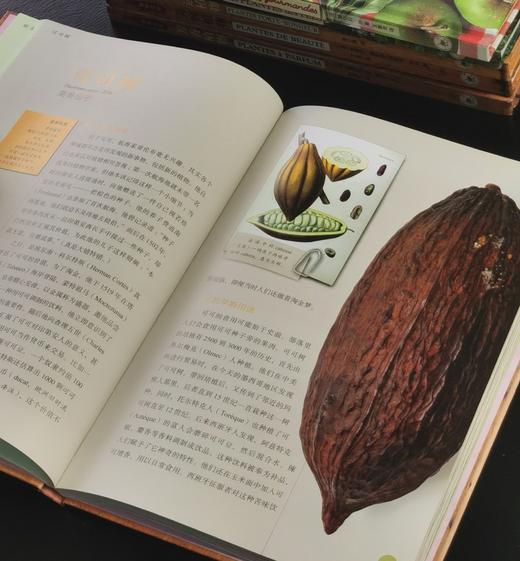 【特惠】植物文化丛书8种，16开，精装，铜版彩印，[法] 塞尔日·沙著，三联书店2018年左右一版一印，8册总定价605元，售价175元 商品图11