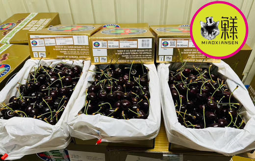 【次日达】澳洲塔斯马尼亚hamsen庄园车厘子 商品图11