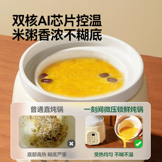 一刻间微压电炖锅小型宝宝专用米油辅食锅YKJ023 商品图2