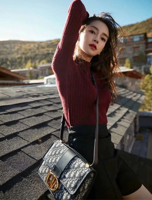 Dior 蒙田 中号 老花 斜挎包 商品图2