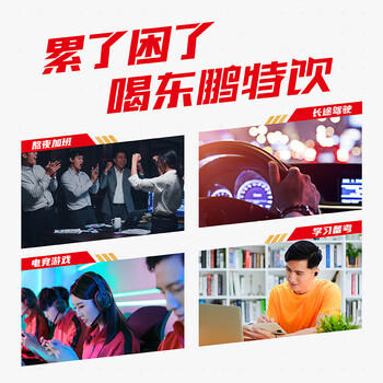 东鹏特饮有奖版 维生素功能饮料 500ml*24瓶/箱 提神抗疲劳熬夜加班 商品图1