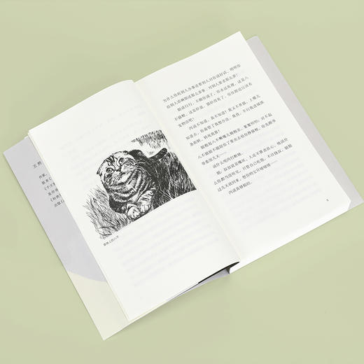 好猫八不 王朔 著 商品图10