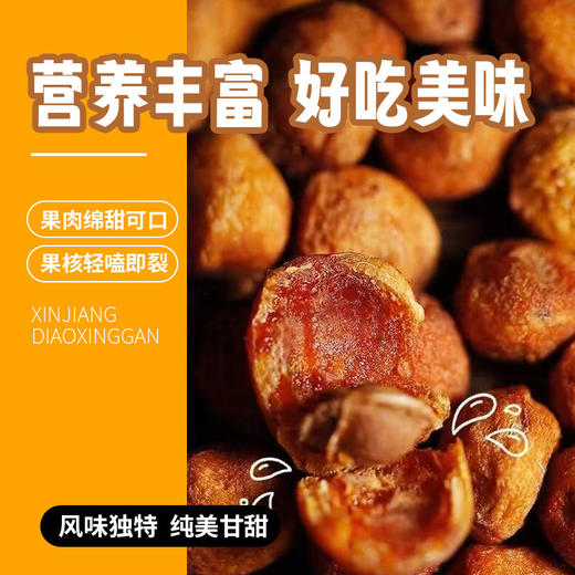 人气新品【自营】新疆61兵团大号吊干杏 树上自然成熟风干 开胃果品 商品图3