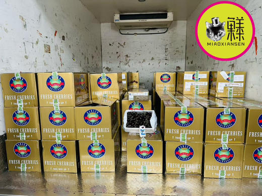 【次日达】澳洲塔斯马尼亚hamsen庄园车厘子 商品图12