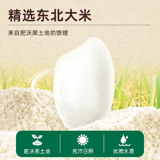 宝贝易餐香蕉芝士/蓝莓酸奶夹心米饼36g（4.5g*8） 商品图4