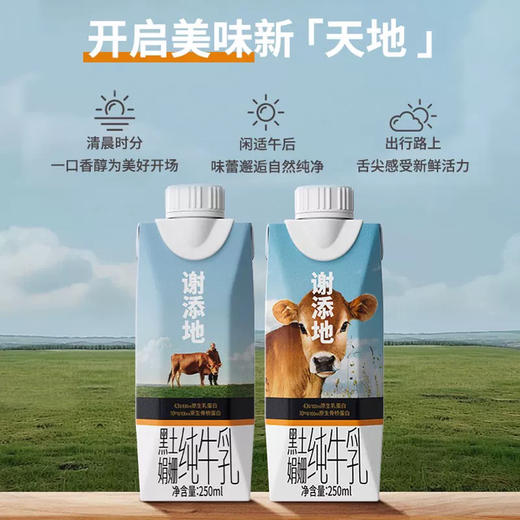 辉山谢添地高端黑土娟姗纯牛乳 商品图2