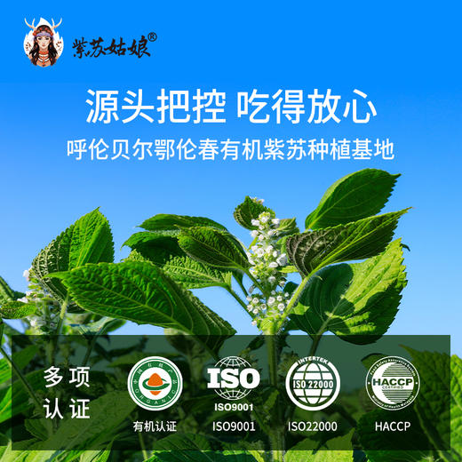 紫苏姑娘有机紫苏籽油鄂伦春黑土地种植高α亚麻酸100ml 商品图2