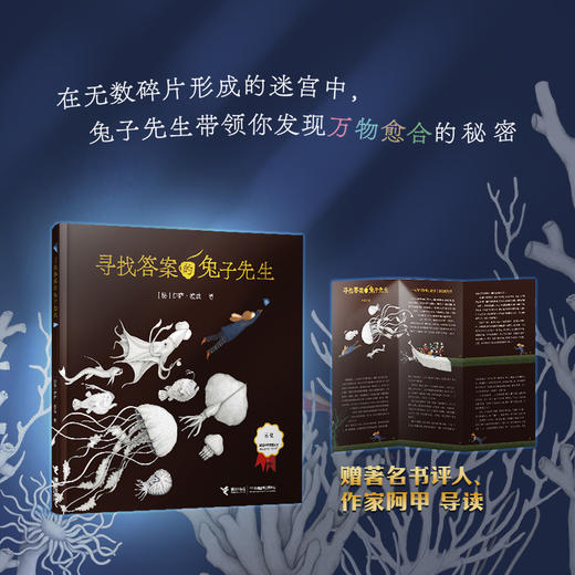 寻找答案的兔子先生 商品图1