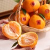 正宗眉山自然熟春见耙耙柑  果大皮薄肉质脆嫩 商品缩略图0