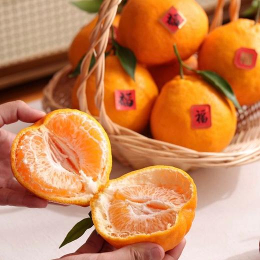 正宗眉山自然熟春见耙耙柑  果大皮薄肉质脆嫩 商品图0