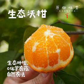 生态沃柑（基地直发-顺丰包邮）| 5斤/箱，来自广西桂林，生产者：唐世荣（合作生产，公平贸易）