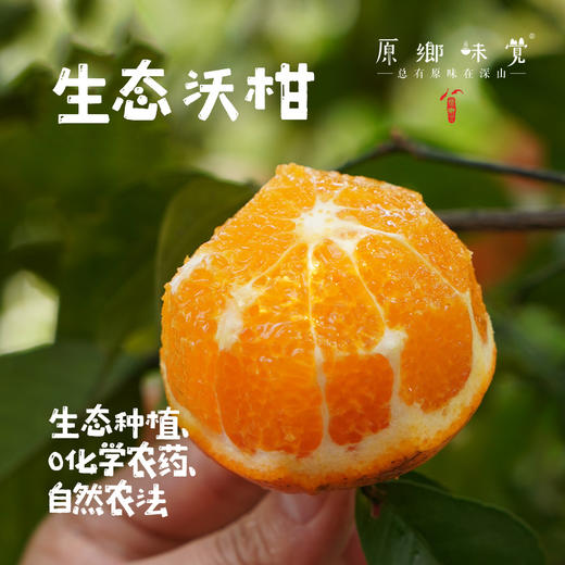 生态沃柑（基地直发-顺丰包邮）| 5斤/箱，来自广西桂林，生产者：唐世荣（合作生产，公平贸易） 商品图0