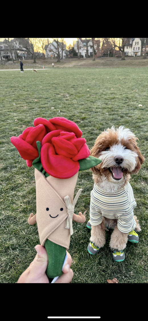 【必败榜一一常年有货 送礼必备】马年新款来了 Jelly各种 公仔 集结号 生日礼物 伴手礼 不知道送啥时 送她 不睬坑 混合系列 商品图2