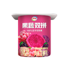 伊利90g*8火龙果羽衣甘蓝双拼酸奶 商品缩略图2