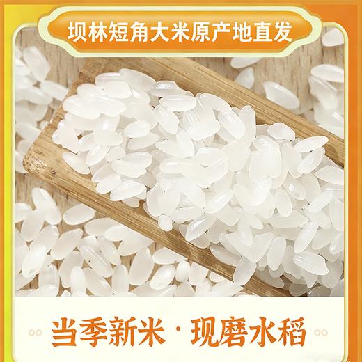 【自营】内蒙古巴林右旗坝林短角大米5kg*1 商品图2