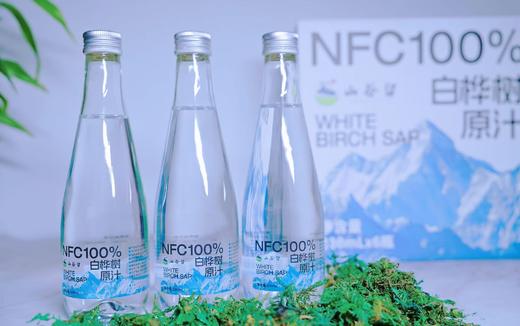 吉林敦化 山谷留 白桦树汁330ml/瓶*6 商品图3