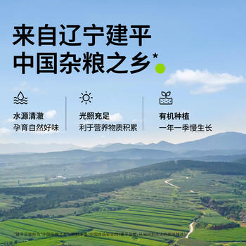 田喜粮鲜有机四粒红花生当季新粮东北红衣花生米红皮花生仁杂粮粗粮330g /粮油调味 /杂粮 /谷米类 商品图7