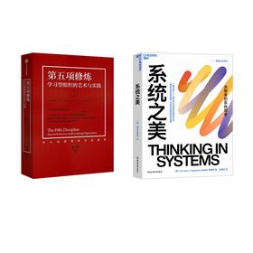 第五项修炼+系统之美