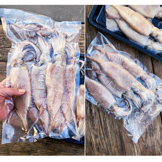 渤海火箭鱿鱼 肉厚有韧性  口感脆鲜 无冰衣无浸泡漂白 商品图7