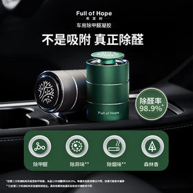 full of hope希望树车载除甲醛凝胶（100g*4）