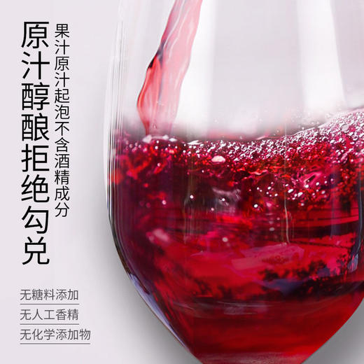 德国无醇起泡葡萄汁 原装进口 商品图7