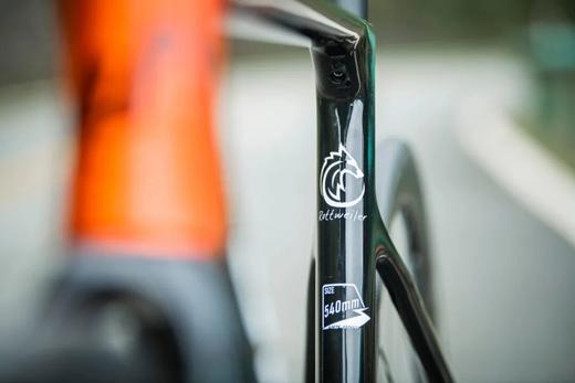 UPLAND（阿普兰）生肖狗系列 公路自行车 电变 商品图5