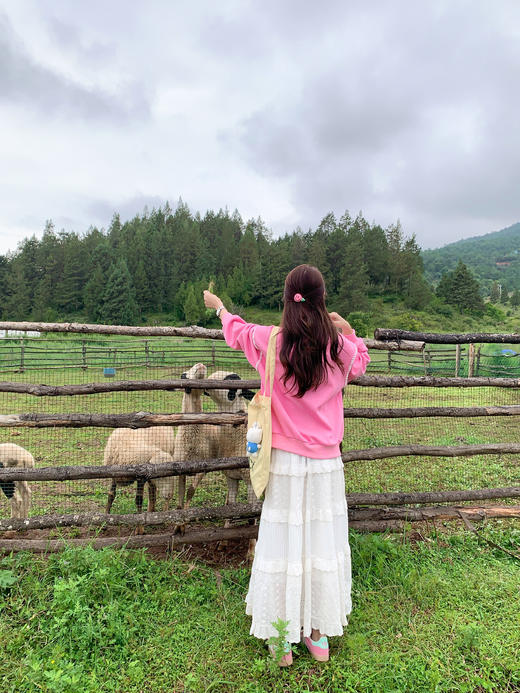<曾小咸推荐>现货秒杀 ！微信超特价！蕾丝蝴蝶结卫衣 日常199.99 立减110 秒杀89.99！！ 商品图5
