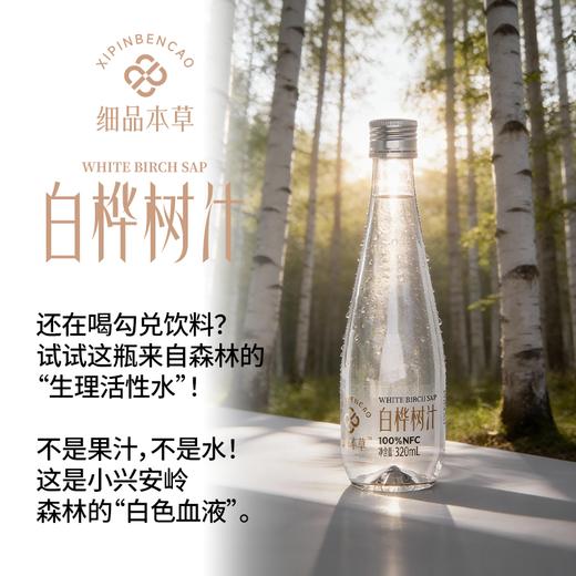 白桦树汁 100%NFC白桦树汁 源自小兴安岭天然白桦林  6瓶礼盒装 商品图4