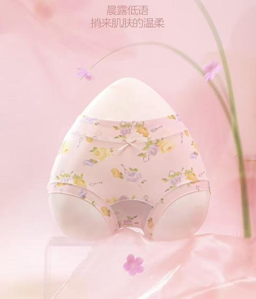 春日花园内裤冰丝亲肤柔软细腻透气内裤两个版型小版中版1216616-6017 商品图1