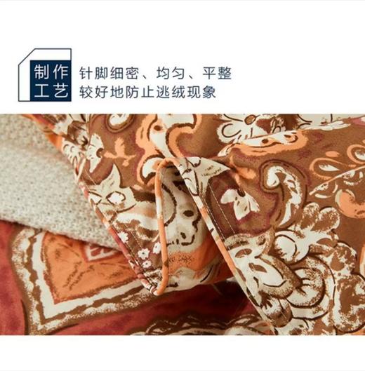 271533奥力福95%白鹅绒冬季羽绒被 商品图2