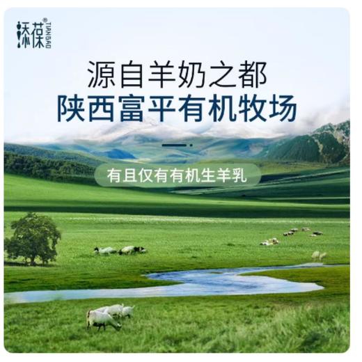 添葆有机纯羊奶粉400G 商品图2