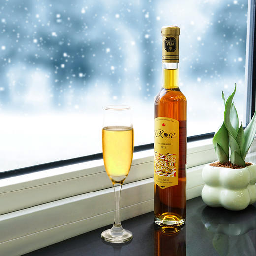 2024年威戴尔白冰一箱（12瓶） 商品图3