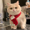 【可爱温暖柔软❗️新年氛围感满满】猫咪新年围兜狗狗比熊围脖宠物饰品围巾口水巾生日小猫圣诞配饰冬。jc 商品缩略图1