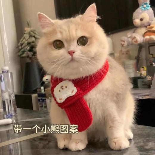 【可爱温暖柔软❗️新年氛围感满满】猫咪新年围兜狗狗比熊围脖宠物饰品围巾口水巾生日小猫圣诞配饰冬。jc 商品图1