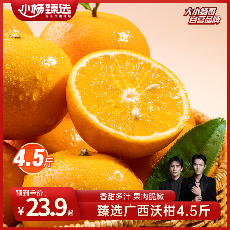 广西沃柑清甜多汁当季新鲜水果时令生鲜4.5斤坏果包赔