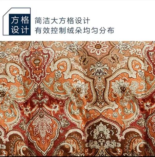 271533奥力福95%白鹅绒冬季羽绒被 商品图1