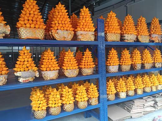 五代果五代同堂五代果含花盆 商品图5