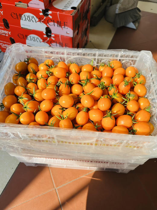 香芒皇后番茄 商品图14
