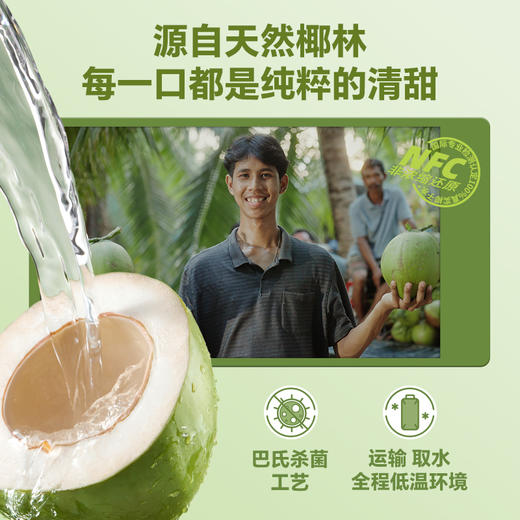 椰子知道 一颗香水椰冷冻椰子水 217g*8 商品图3