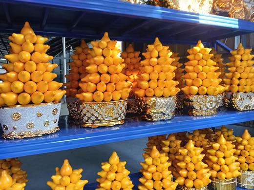 五代果五代同堂五代果含花盆 商品图6