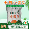 【厂商直发】有机小麦粉2.5kg冷加工技术保留营养面粉馒头包邮 商品缩略图0