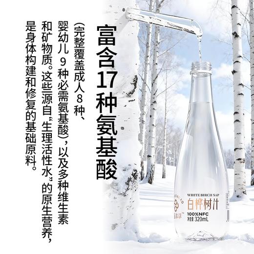白桦树汁 100%NFC白桦树汁 源自小兴安岭天然白桦林  6瓶礼盒装 商品图3