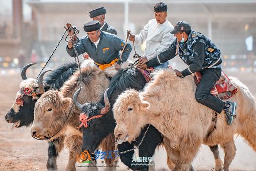 3月28日出发（四驱车）春摄新疆A：南疆帕米尔高原杏花村•卡拉库里湖•盘龙古道•大同乡杏花村•塔吉克民族风光人文10天摄影（精品团）Y 商品图9