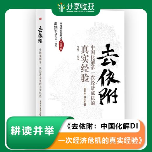 温铁军《去依附：中国化解DI一次经济危机的真实经验》 商品图0