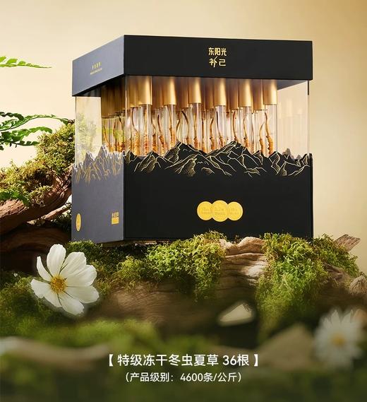 东阳光鲜虫草礼盒36根装 商品图2