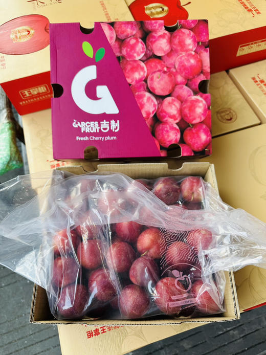 智利 樱桃李 5勾大果 商品图3