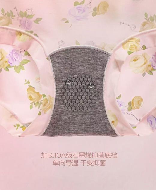 春日花园内裤冰丝亲肤柔软细腻透气内裤两个版型小版中版1216616-6017 商品图10