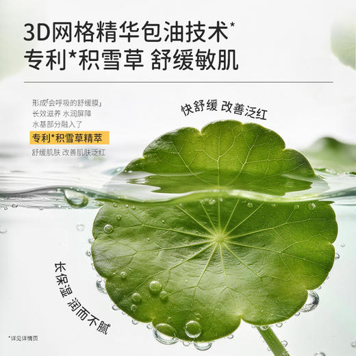 【云朵霜】舒缓•维稳•保湿 袋鼠妈妈儿童舒缓润护精华霜-50g 商品图2